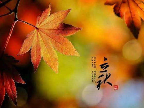 秋來了，莫慌！智慧主機依舊值得推薦的